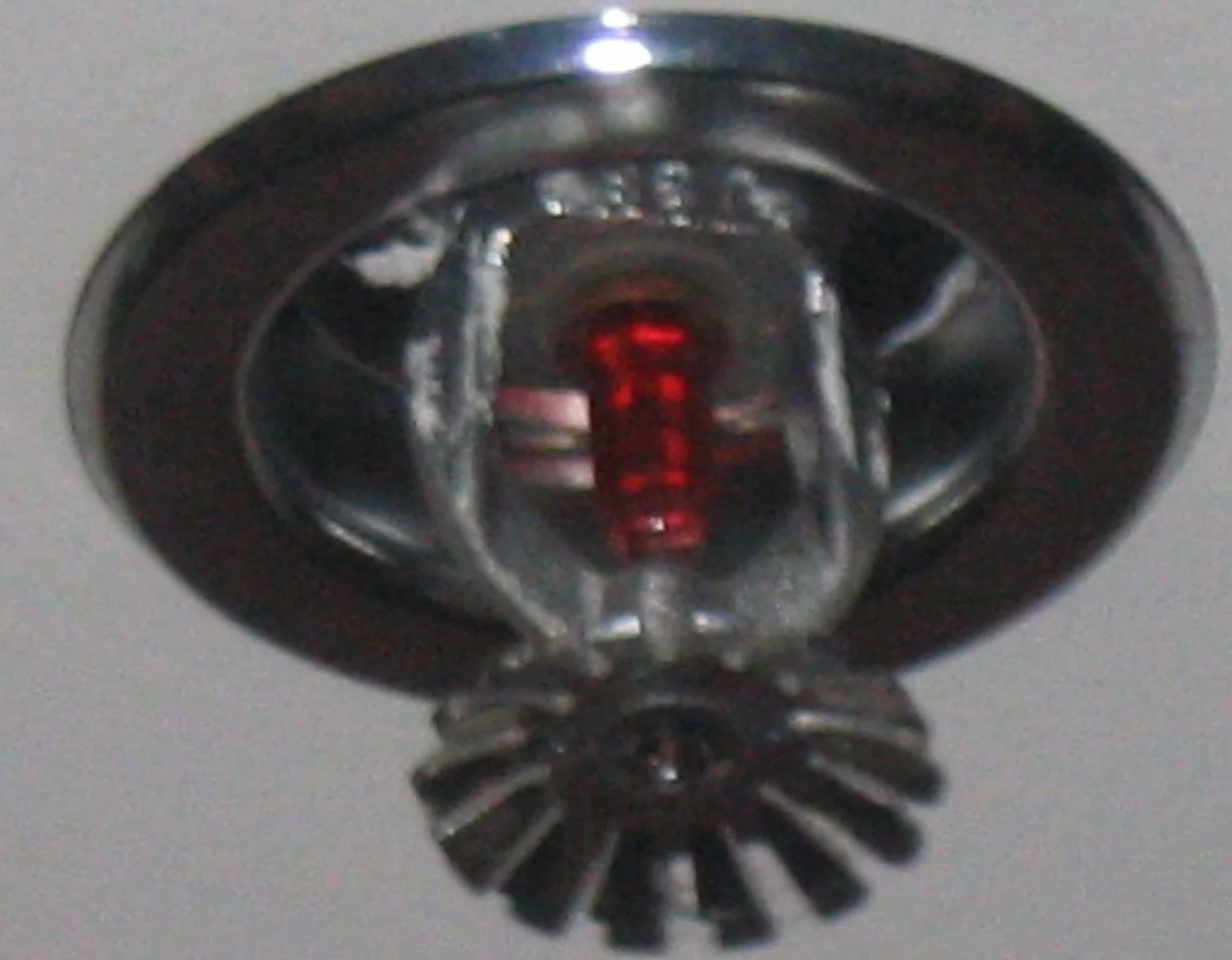 Fire Sprinkler Cleanup in Long Island, NY