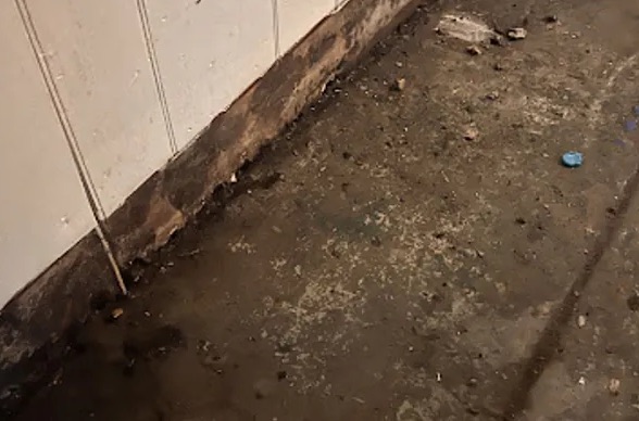 Hoarding Cleanup in Long Island, NY